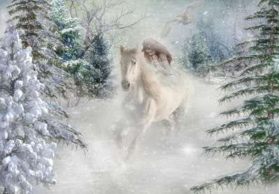 幻想 雪 马 森林 树木 自然 雪景 作曲 寒冷的 童话