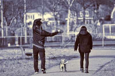 男人 女士 人 人们 狗 犬类 步行 一起 皮带 那条狗绳