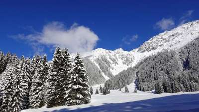 山 冬天 森林 雪 自然 雪景 格劳宾登州