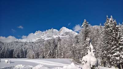 野皇 雪 冬天 蒂罗尔 山 景观 晴天 森林