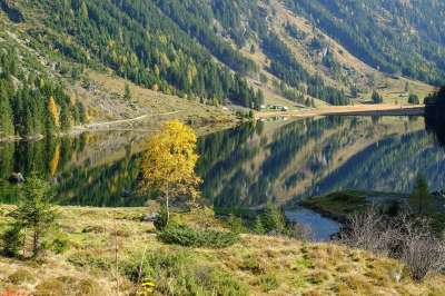 自然 景观 山 山世界 湖 高山湖泊 阿尔姆 落下 秋天风景