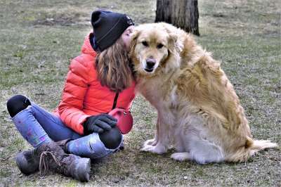 狗 女孩 坐着 一起 拥抱 金毛猎犬 微笑 伴侣 友谊 爱