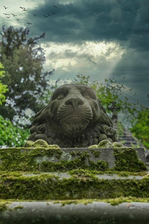 狮子 石头 雕像 雕塑 动物 纪念碑 艺术 建筑学 石像