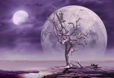 幻想 景观 科幻 月亮 行星 外星人 树 紫色的 多雾路段