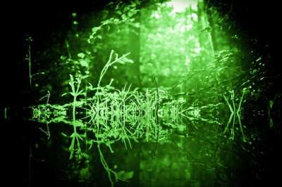 绿色 神秘 幻想 情绪 气氛 童话 照明心情 魔术 梦 光