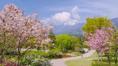阿尔卑斯山 安昙野 公园 在 春天