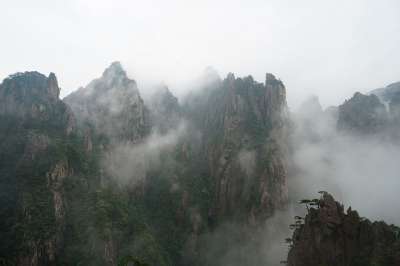 黄山 山 山脉 多雾路段 树木 中国 黄山 黄山 黄山 黄山