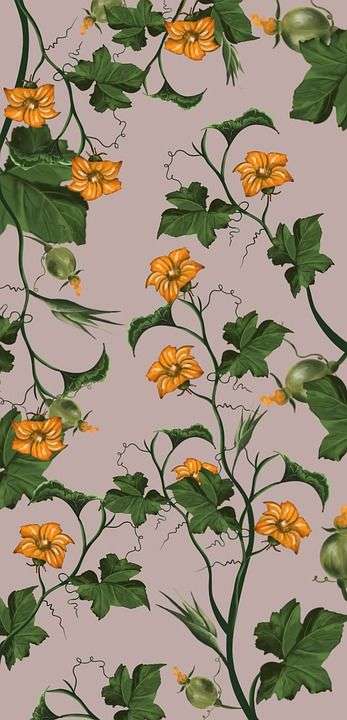 树叶 花朵 花瓣 花的 叶子 植物 图案 秋天 自然 画画