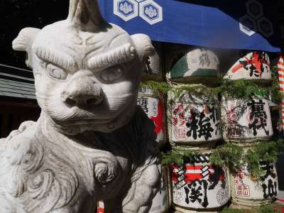 日本 历史 神社 福冈 博多 神越 节 狮子 监护人的狗