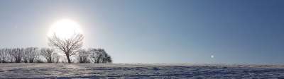 冬天 景观 雪