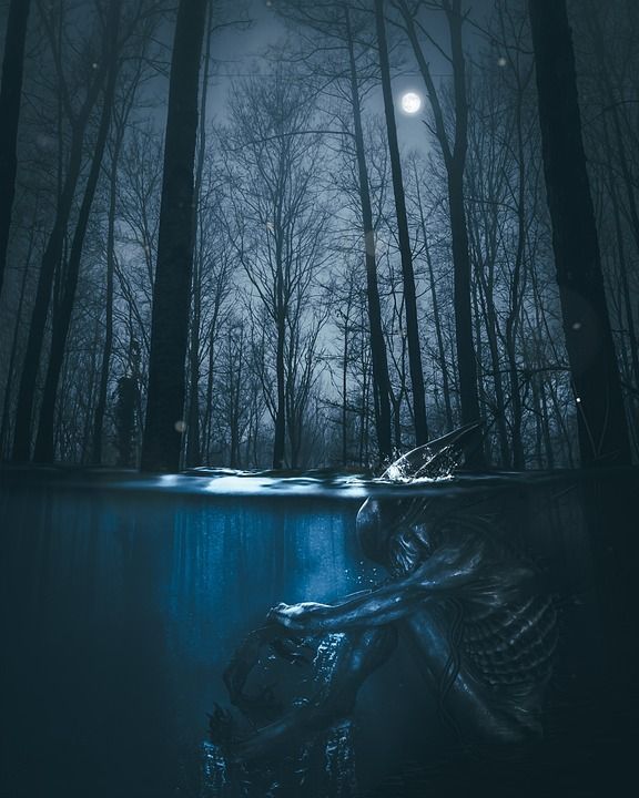 身 陌生人 恐惧 爬行 背景 森林 树木 水 水下 极好的