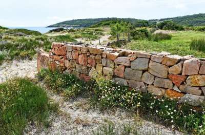 海岸 沿海景观 海岸线 海 墙 花岗岩石块 花朵 丘陵 人行道