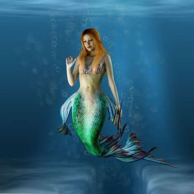 美人鱼 水生生物 水 生物 女性 神秘 海 幻想 水美人鱼