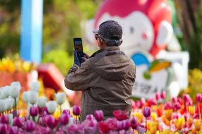 日山湖公园 老人 拍照 花朵 花园 花节 大韩民国 自然 高阳
