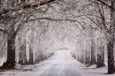 冬天 寒冷的 霜 冰淇淋 雪 景观 冻结 阳光 阳光灿烂