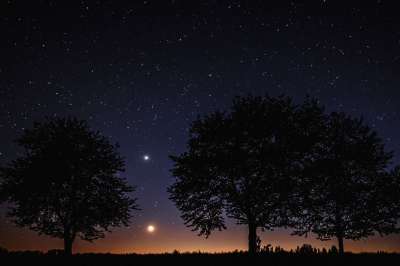 天堂 星星 月亮 金星 宇宙 夜晚 夜空 树木 金星 金星