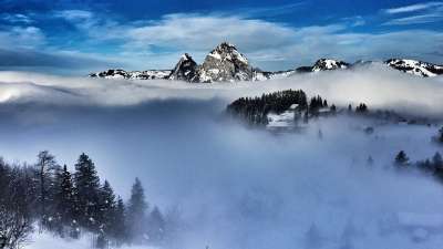 山 多雾路段 雪 景观 冬天