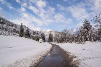路 角落 大大地 沥青 街道 小路 树木 冬天 寒冷的 雪