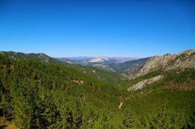 看法 自然 景观 天空 森林 云 农村 树木 美丽 山