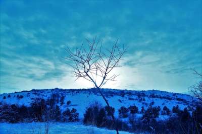 雪 冬天 冷 树 地平线 自然 看法 天空 山 树木 云