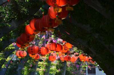 中国的灯笼 佛 节日 庆典 事件 灯 乐趣 中国 灯笼