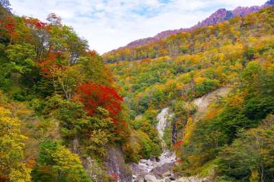 日本 秋季树叶 秋山乡 峡谷 秋季 长野县 新泻 自然 景观
