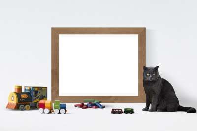 海报 框架 玩具 猫