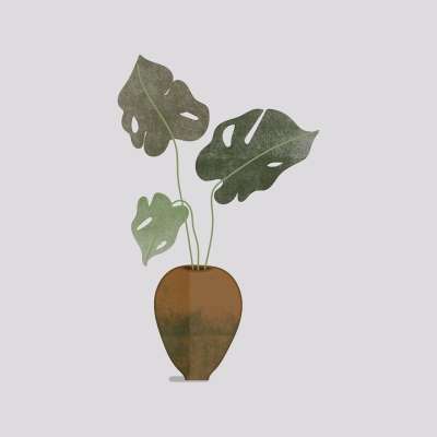 龟背竹 波西米亚艺术风格 盆花 植物学 室内植物 绘画 波西米亚艺术