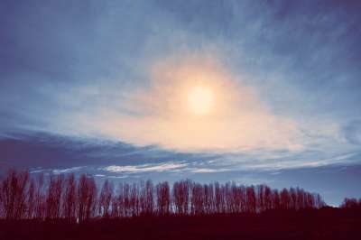 太阳 日落 阳光 晚上 天空 蓝天 树木 剪影 景观 引人注目