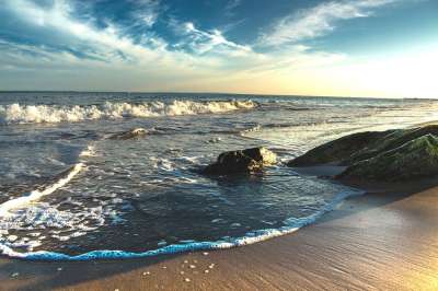 大西洋 水 海洋 海 绿松石 美国 砂 海岸 海滩 自然 波