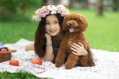 女孩 狗 野餐 小狗 宠物 友谊 动物 可爱的 花冠 女士