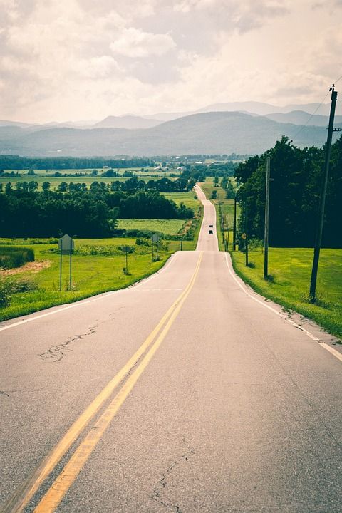 路 路面 绿色 草 树木 景观 乡村的 农村 山