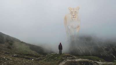 幻想 狮子 远足 男人 多雾路段 山 危险 野生动物 猫科动物