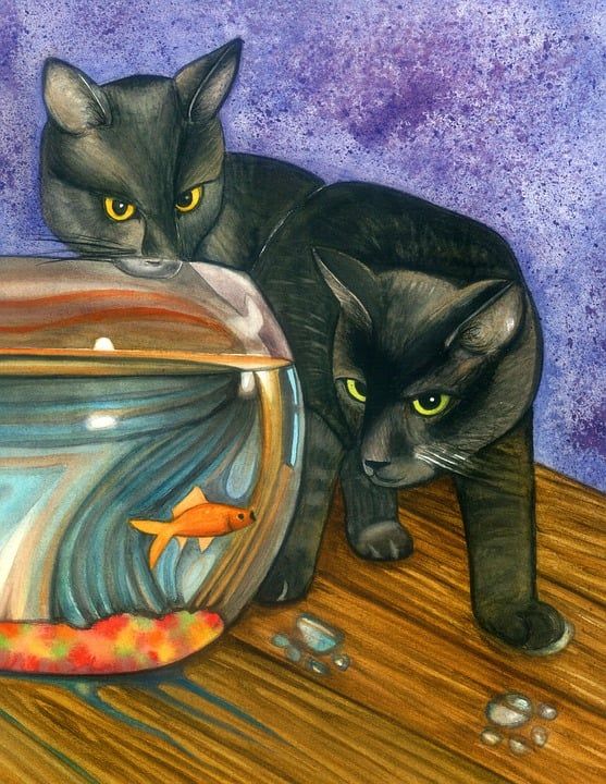 猫 黑色的 金鱼 宠物 动物 小猫 水彩 绘画 爪子 鱼缸