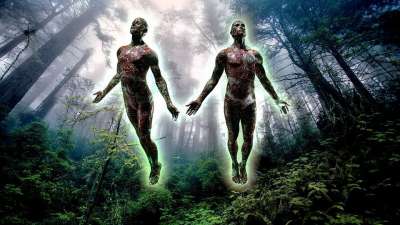 人们 自然 男子 和谐 森林 绿色 魔法 树