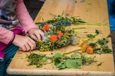 花圈 花卉装饰 装饰 花 秋季装修 编织 领带 落下 秋天的