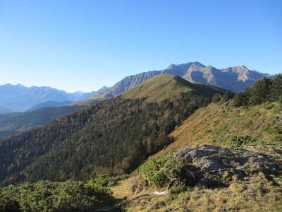 森林 Payolle 比利牛斯 山