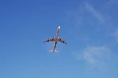 飞机 航班 航空 运输 翅膀 飞行 天空 航空公司 旅行