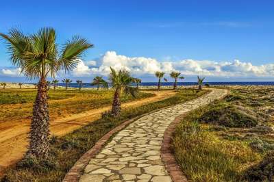 沿海路径 棕榈树 海 天空 云 地平线 景观 阿依纳帕 塞浦路斯