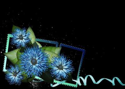 问候 卡片 蓝色的 花 簇 数字艺术 数字设计 艺术 艺术品