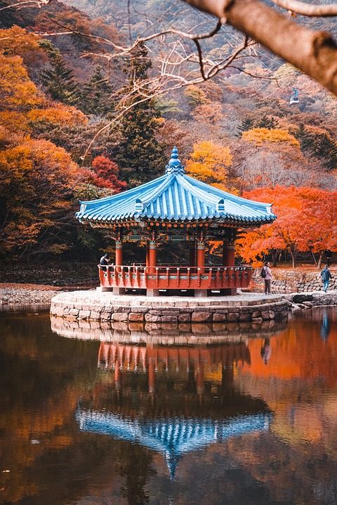 宝塔 寺庙 秋天 公园 池塘 韩国 景观