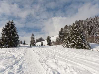 冬天 冬季景观 冬季魔法 雪 感觉 雪跟踪 白色的 脚印 冬季游