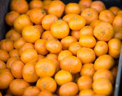 柑橘 橘子 小柑橘 柑橘类水果 普通话 Clementine 水果