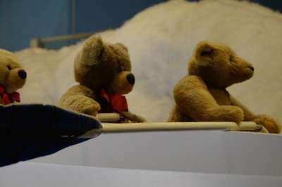 泰迪熊 Teddies 熊 船 划船 装饰 动物 玩具 孩子