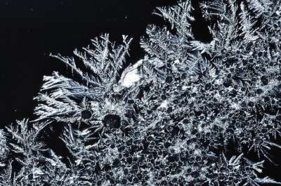 冰晶 冬天 是 雪 冻结 雪晶 凉爽的 弗罗斯特 瑞典 轮廓