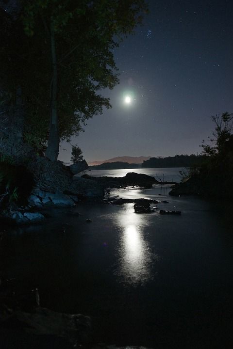 夜晚 月亮 天空 星星 夜景 夜空 树 极好的 山 长期接触
