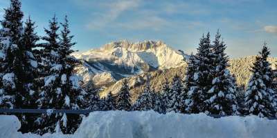 雪 冬天 山 寒冷的 木头