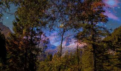 森林 星星 夜晚 山 浪漫的 背景