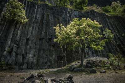 巴拉顿 玄武岩 Hegyestű 火山 旅行 匈牙利 山 树