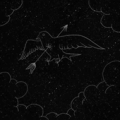 鸟 星星 翅膀 箭 宇宙 繁星点点 星系 空间 夜晚 卡通片